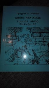 Cvece iza Zice Luludja Ando Phanglipe