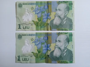 Rumunski Lej dva komada