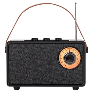 Camry 1902 Bt Radio Black
