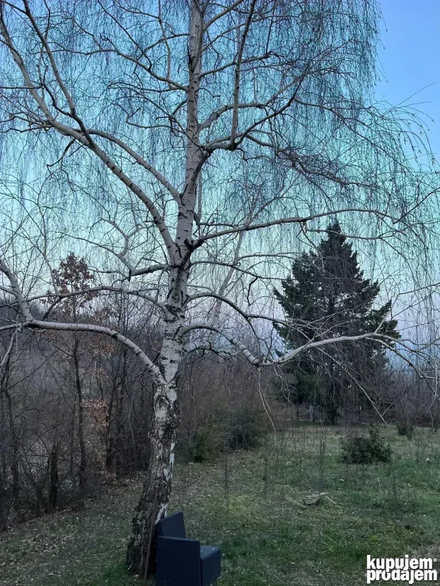 Kosmajski put 78, Kosmaj, 2.0 dvosobna, 120 m²