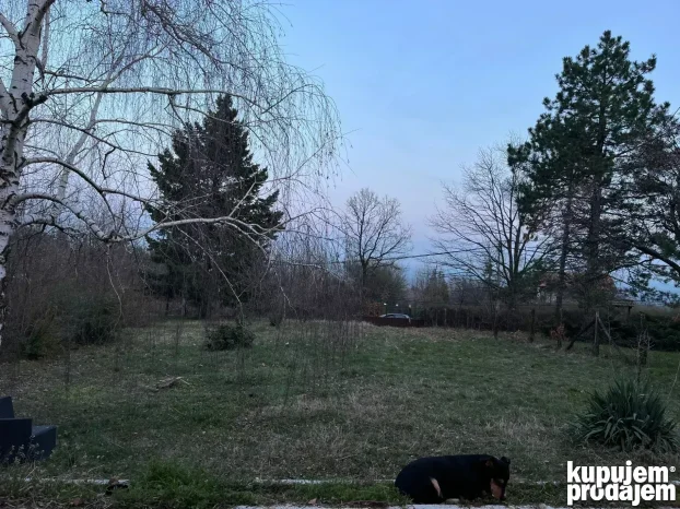 Kosmajski put 78, Kosmaj, 2.0 dvosobna, 120 m²
