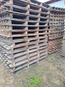 Palete bukva
