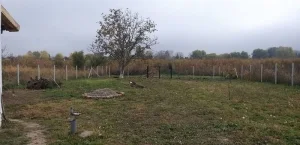 Bečej, 3018m2 / Šifra 538318