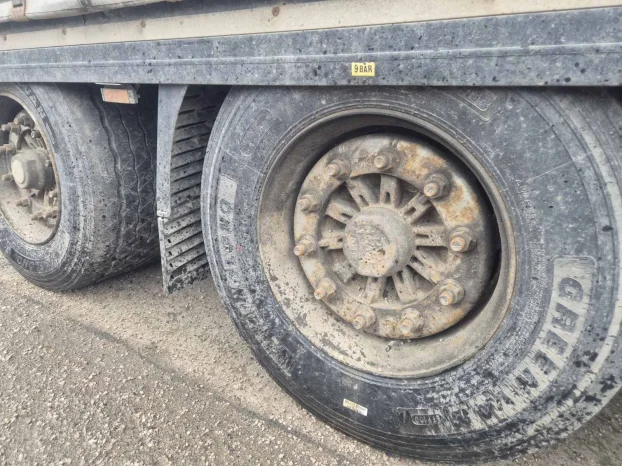 Kamion Man TGX480