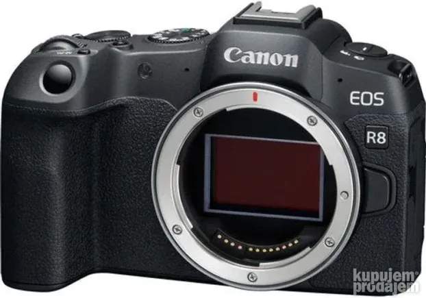 Canon EOS R8 Frame