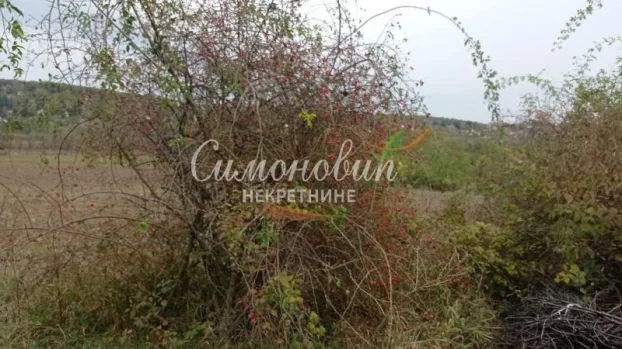 Fruška gora, Irig, 176 ari, građ.zemljište, uknjiženo ID#1630