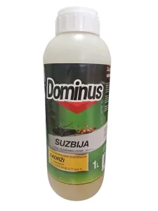 Dominus 1l