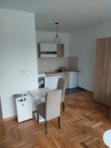 miodraga protica, Mirijevo, 0.5 garsonjera, 25 m²