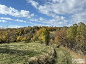21 hektar predivne prirode