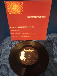 The Icicle Works  -  Love Is A Wonderful Colour