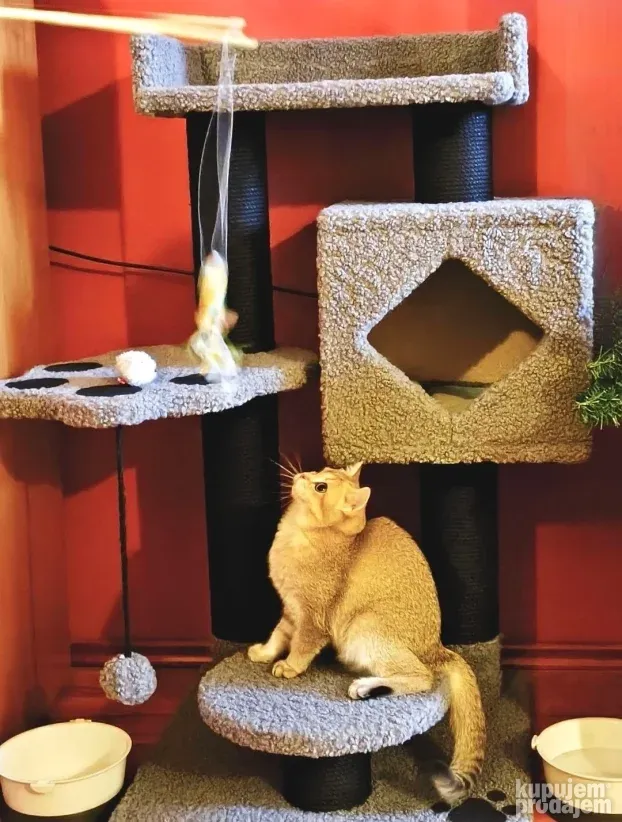 Penjalica-grebalica za mačke i mace