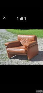 Lampe forelje lusteri