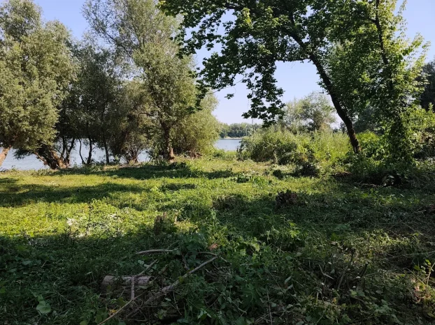 Plac na Savi, Boljevci, 4 ar