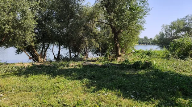 Plac na Savi, Boljevci, 4 ar