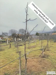 Orezivanje svih vocnih vrsta.