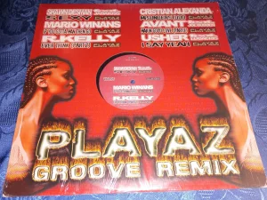 Playaz Groove Remix Vol.05