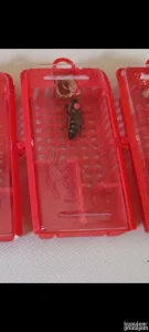 Matice Neoplodjene 2026