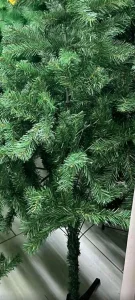 Jelke moze i licno novi sad