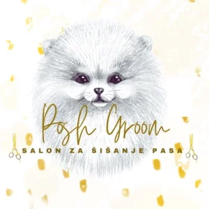 Šišanje pasa Beograd – Posh Groom bez stresa i sa ljubavlju