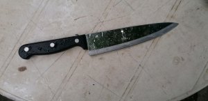 noz mesarski tcm secivo 20cm.