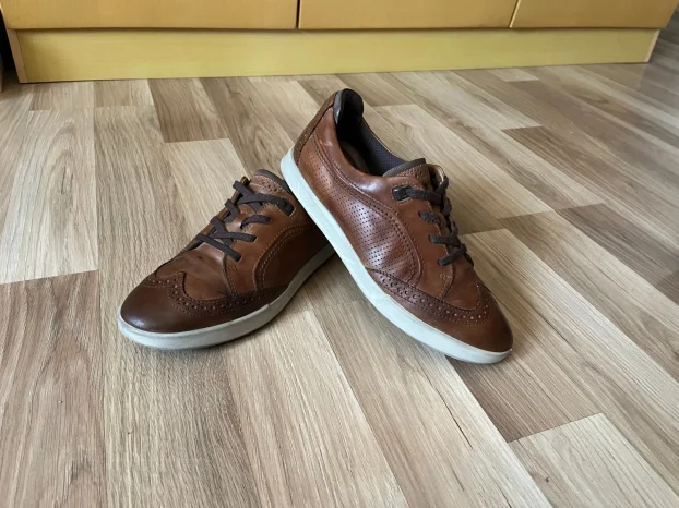 ECCO br.42