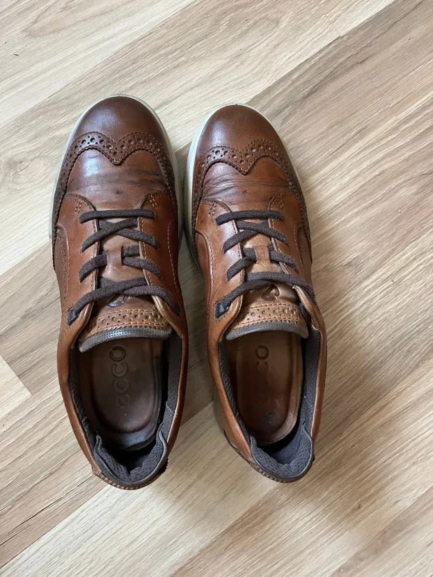 ECCO br.42