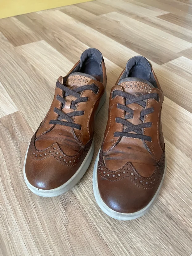 ECCO br.42