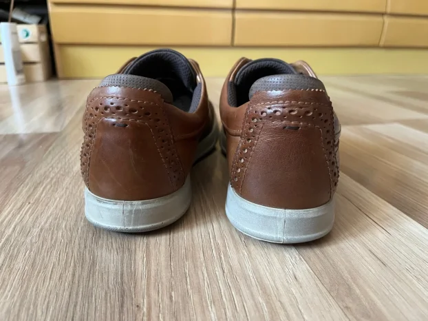 ECCO br.42