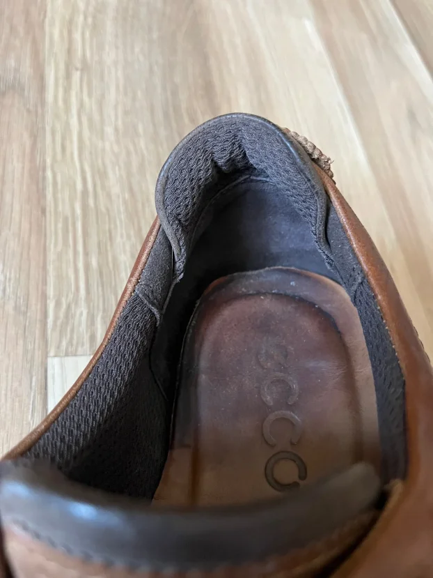 ECCO br.42