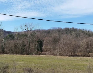 12016m2,Plac,Cerevic