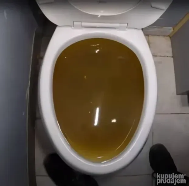 Otpušavanje wc šolje