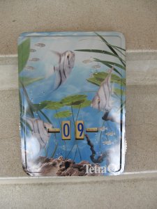 Tetra datumar