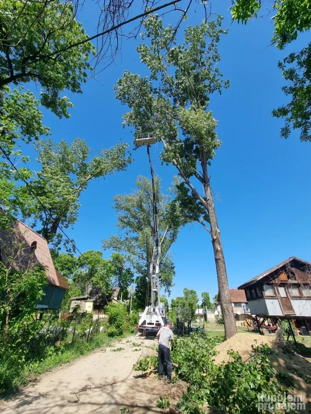 Kamion sa korpom  20-32 metara Najam,SECENJE obaranje drveca