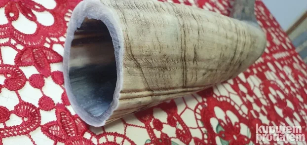 Veliki rog  kupljen u francuskoj