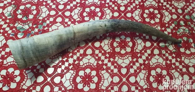 Veliki rog  kupljen u francuskoj