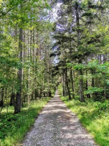 Apartman Divčibare