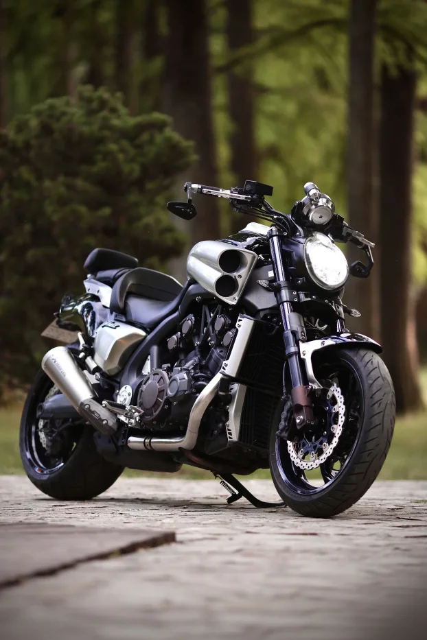 Yamaha V max