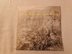Jerry Harrison - Casual Gods