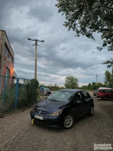 Peugeot 307