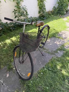 Ženski gradski bicikl