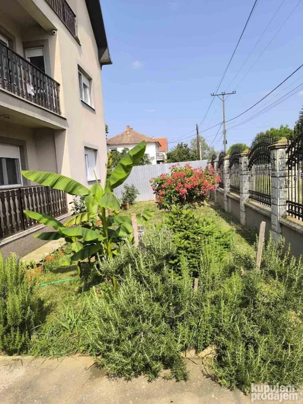 Glavna, Bečmen, 16.65 ar