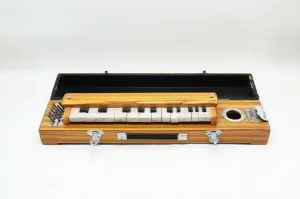 Bulbul Tarang starinski indijski muzički instrument