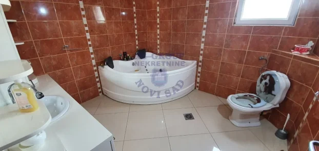 Stari Majur, 5+ petosoban, 200 m²