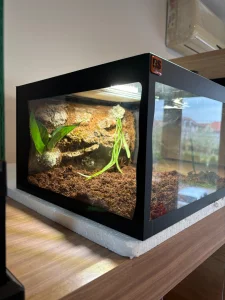 Terarijum za tarantulu,skorpiju,manje gekone,zmije