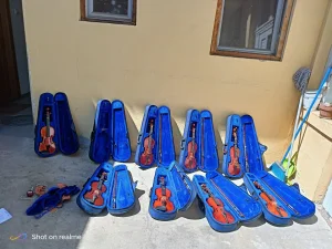 Violina 1/2