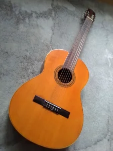 Raimundo klasična gitara.