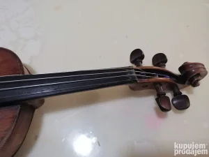 Cela violina