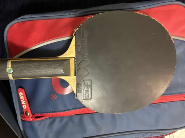 Dimitrij Ovtcharov ALC plus Dignics gume