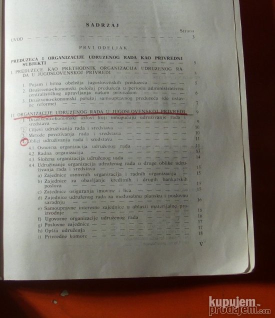 Ekonomika organizacija udruženog rada