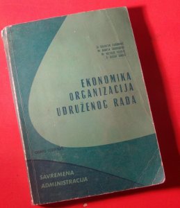 Ekonomika organizacija udruženog rada